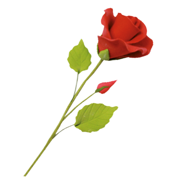 Rosa Roja. 12 unidades.