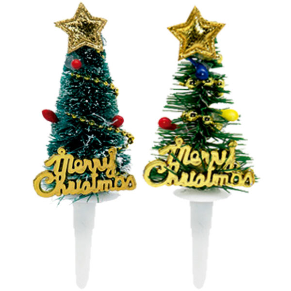 Abeto Navidad. 50 unidades.