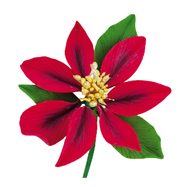 Flor Pascua. 12 unidades.