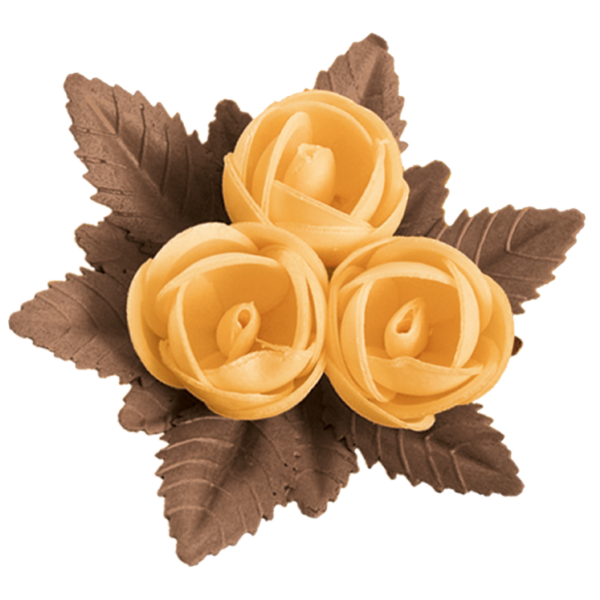 Centro Color Marrón. 25 unidades.