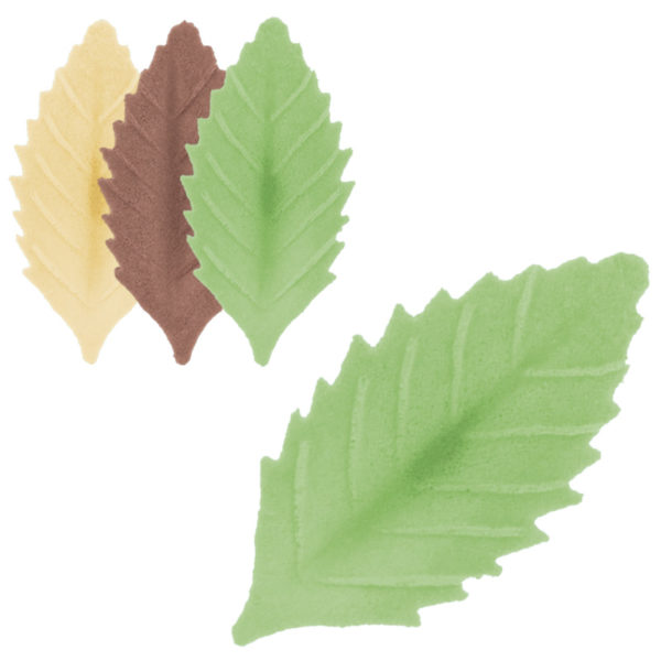 Hojas de Colores. 1000 unidades.